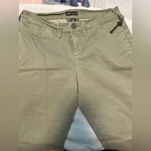 True Religion Green Chino Pants
